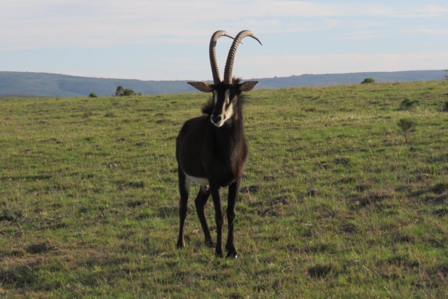  Bedroom Property for Sale in Mossel Bay Rural Western Cape